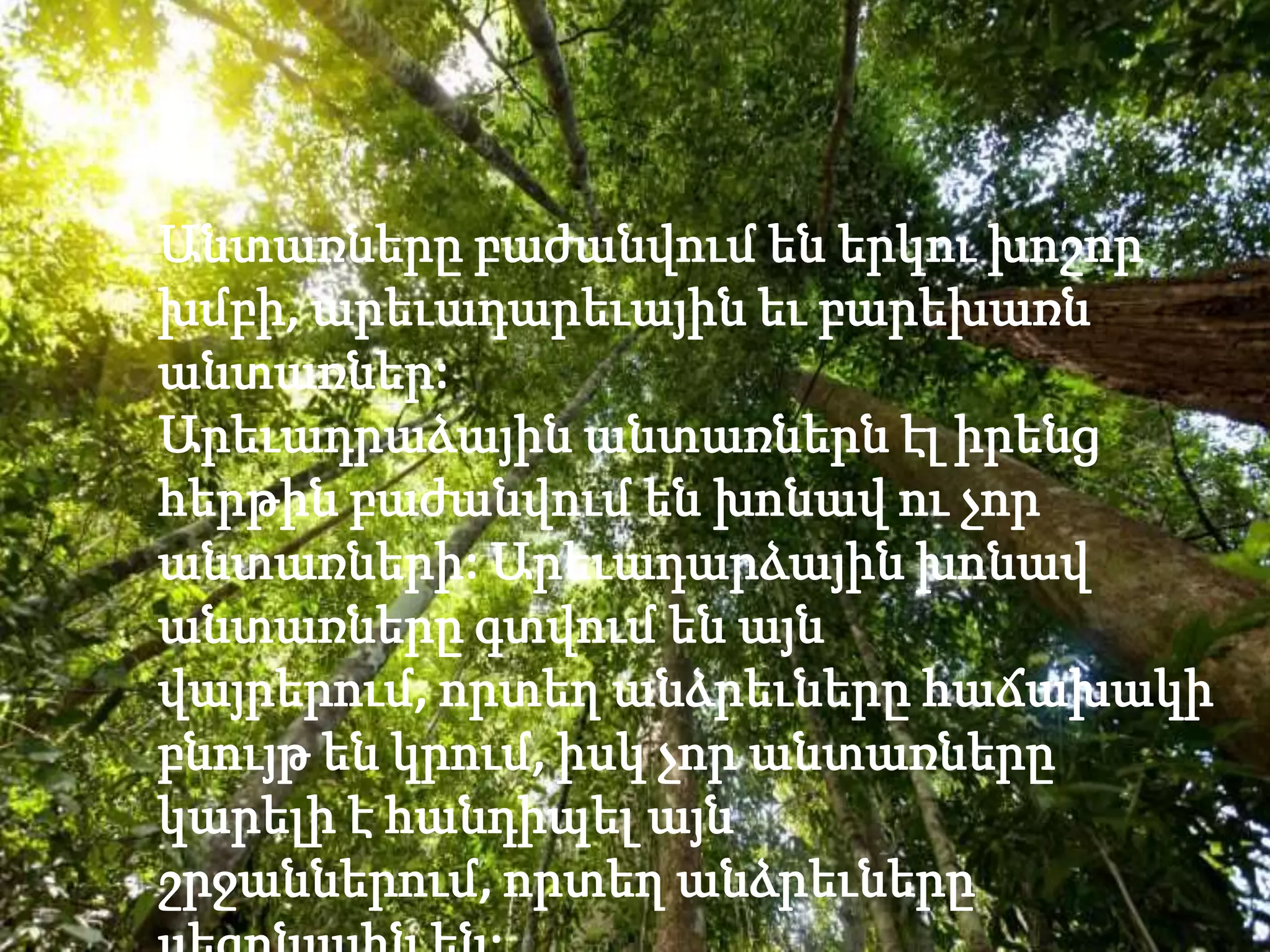 Անտառները բաժանվում են երկու խոշոր
խմբի, արեւադարեւային եւ բարեխառն
անտառներ:
Արեւադրաձային անտառներն էլ իրենց
հերթին բաժանվում են խոնավ ու չոր
անտառների: Արեւադարձային խոնավ
անտառները գտվում են այն
վայրերում, որտեղ անձրեւները հաճախակի
բնույթ են կրում, իսկ չոր անտառները
կարելի է հանդիպել այն
շրջաններում, որտեղ անձրեւները
 