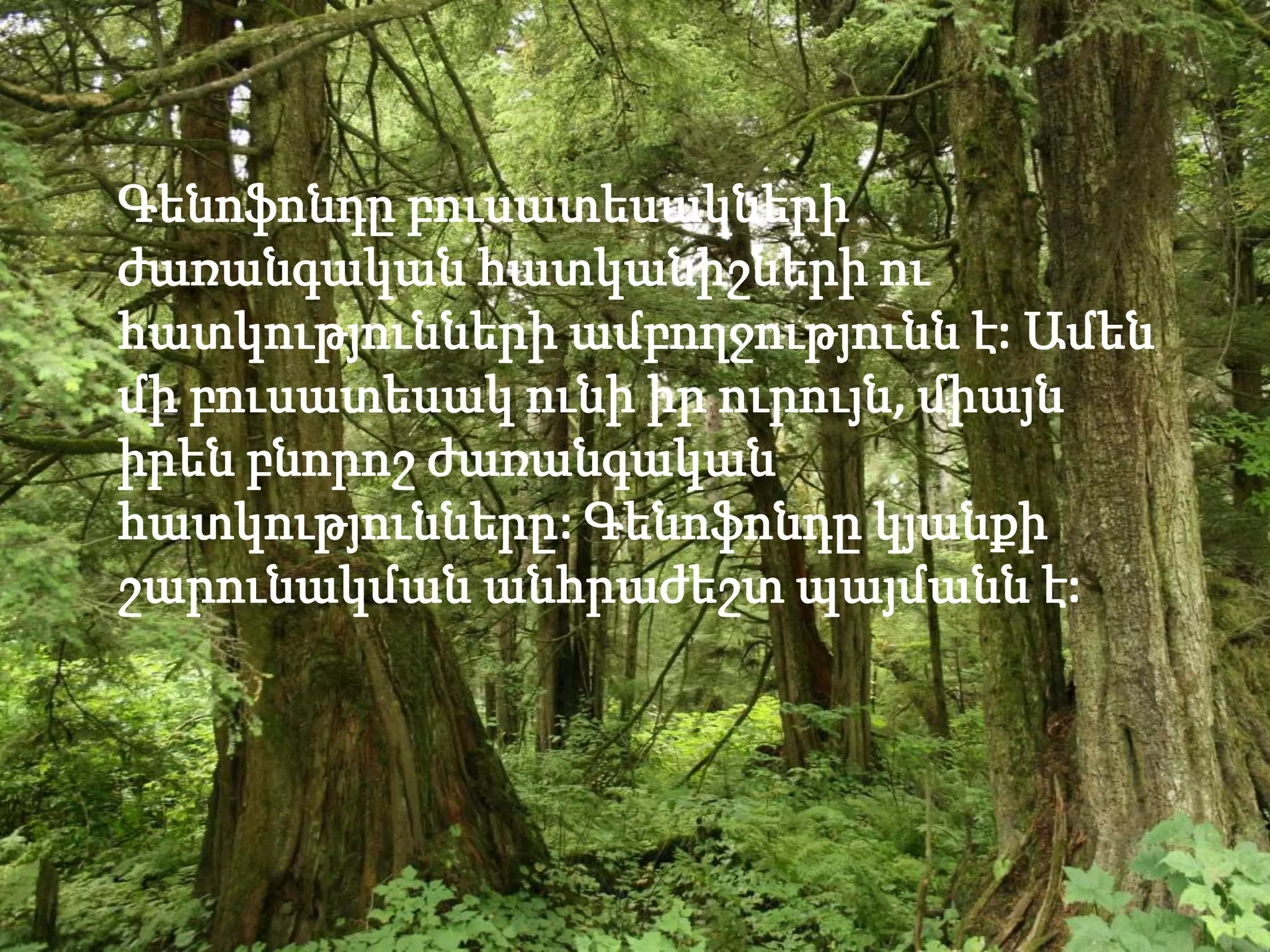Գենոֆոնդը բուսատեսակների
ժառանգական հատկանիշների ու
հատկությունների ամբողջությունն է: Ամեն
մի բուսատեսակ ունի իր ուրույն, միայն
իրեն բնորոշ ժառանգական
հատկությունները: Գենոֆոնդը կյանքի
շարունակման անհրաժեշտ պայմանն է:
 