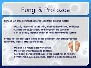 Fungi & Protozoa
Fungus- an organism that absorbs food from organic matter
-Usually restricted to the skin, mucous membrane, and lungs
-Athlete’s foot, jock itch, and ringwom are common
-Can be deadly in people with an impaired immune system
Protozoa- a microscopic single-celled organism that often produces
recurrent, cyclical attacks of disease
-Malaria is a major killer worldwide
-Mostly among infants and children
-Giardiasis- parasite that lives in the intestines of humans
-Symptoms: nausea, diarrhea, bloating, abdominal cramp

 