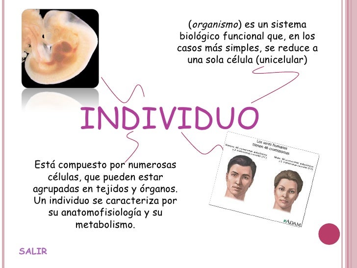 Anna b la ecologia ultimo 1 (1)