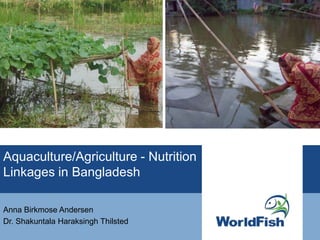 Aquaculture/Agriculture - Nutrition
Linkages in Bangladesh
Anna Birkmose Andersen
Dr. Shakuntala Haraksingh Thilsted
 