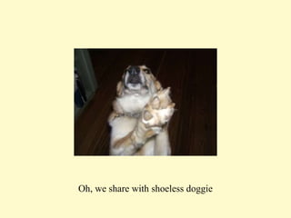 Oh, we share with shoeless doggie 