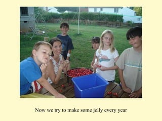 Now we try to make some jelly every year 