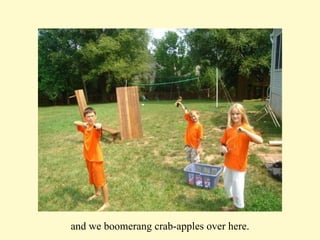 and we boomerang crab-apples over here. 