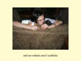 and our rodents aren’t synthetic 