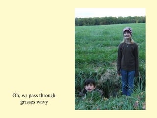 Oh, we pass through grasses wavy 