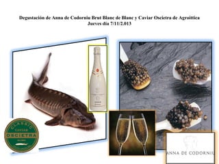 Degustación de Anna de Codorniu Brut Blanc de Blanc y Caviar Oscietra de Agroittica
Jueves día 7/11/2.013

 