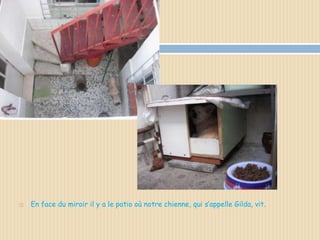    En face du miroir il y a le patio où notre chienne, qui s’appelle Gilda, vit.
 