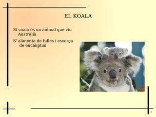 EL KOALA El coala és un animal que viu Australià 