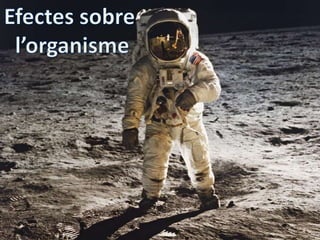 L’home percep el món exterior a través d’uns òrgans : els receptors.Els fusos muscular