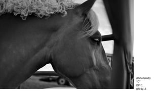 Anna Grady
“C”
DPI 1
8/19/15
 