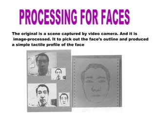 PROCESSING FOR FACES The original is a scene captured by video camera. And it is image-processed. It to pick out the face’s outline and produced  a simple tactile profile of the face 
