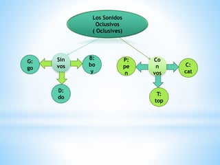 Los Sonidos
Oclusivos
( Oclusives)
T:
top
Sin
vos
D:
do
Co
n
vos
P:
pe
n
G:
go
B:
bo
y
C:
cat