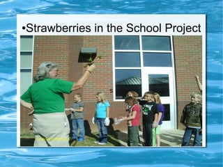 ●Strawberries in the School Project
S
 