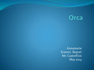 Annamarie
Science Report
Mr. Castrell’on
May 2014
 