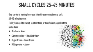 SMALL CYCLES 25-45 MINUTES
One cerebral hemisphere can intently concentrate on a task
25-45 minutes only
Then you need to switch to other task or to different aspect of the
same task
• Routine - New
• Common view - Detailed view
• High stress - Low stress
• With people - Alone
 