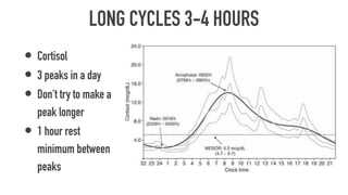 LONG CYCLES 3-4 HOURS
• Cortisol
• 3 peaks in a day
• Don't try to make a
peak longer
• 1 hour rest
minimum between
peaks
 