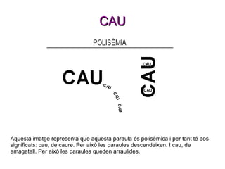 CAU Aquesta imatge representa que aquesta paraula és polisèmica i per tant té dos significats: cau, de caure. Per això les paraules descendeixen. I cau, de amagatall. Per això les paraules queden arraulides.  