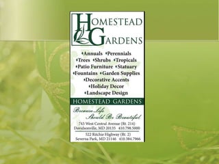 Annapolis Chorale christmas card