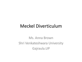 Meckel Diverticulum
Ms. Anna Brown
Shri Venkateshwara University
Gajraula.UP
 