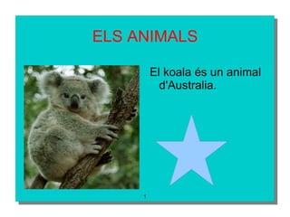 ELS ANIMALS ,[object Object]