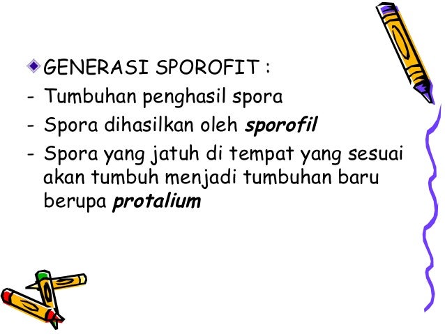 Annas Plantae Kingdom