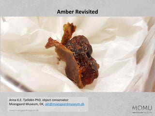 1
Amber Revisited
Anna K.E. Tjelldén PhD, object conservator
Moesgaard Museum, DK, akt@moesgaardmuseum.dk
 