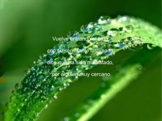 Vuelve entrando el alba,

con su semblante lastimado,

dice que ha sido maltratado,

  por alguien muy cercano
 