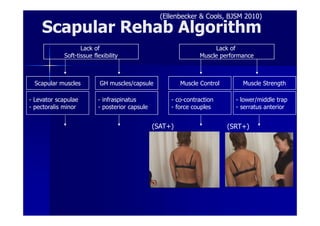 (Ellenbecker & Cools, BJSM 2010)

    Scapular Rehab Algorithm
                   Lack of                                           Lack of
            Soft-tissue flexibility                             Muscle performance



  Scapular muscles         GH muscles/capsule            Muscle Control       Muscle Strength

- Levator scapulae        - infraspinatus            - co-contraction       - lower/middle trap
- pectoralis minor        - posterior capsule        - force couples        - serratus anterior


                                                (SAT+)                    (SRT+)
 