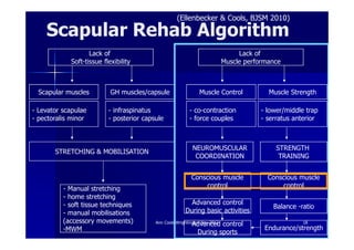 Ann cools 3 scapular rehab [compatibiliteitsmodus] | PDF