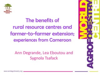 The benefits of
rural resource centres and
farmer-to-farmer extension;
experiences from Cameroon
Ann Degrande, Lea Eboutou and
Sygnola Tsafack

 