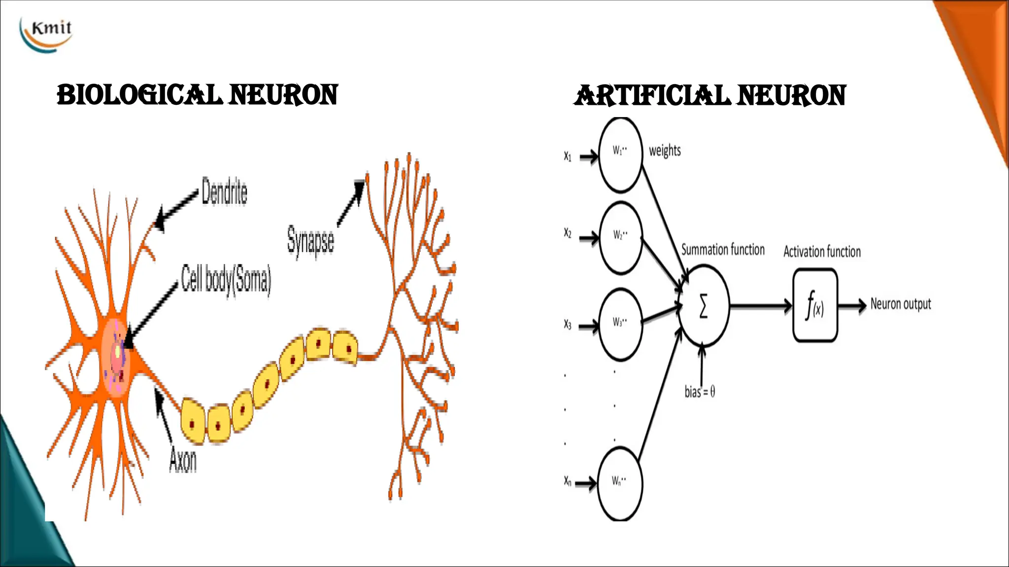 Biological neuron Artificial neuron
 