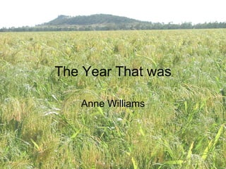 The Year That was Anne Williams 