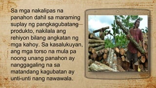 Sa mga nakalipas na
panahon dahil sa maraming
suplay ng pangkagubatang
produkto, nakilala ang
rehiyon bilang angkatan ng
mga kahoy. Sa kasalukuyan,
ang mga torso na mula pa
noong unang panahon ay
nanggagaling na sa
matandang kagubatan ay
unti-unti nang nawawala.
 