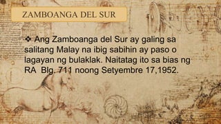 ZAMBOANGA DEL SUR
 Ang Zamboanga del Sur ay galing sa
salitang Malay na ibig sabihin ay paso o
lagayan ng bulaklak. Naitatag ito sa bias ng
RA Blg. 711 noong Setyembre 17,1952.
 
