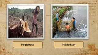 Pagtotroso Palaisdaan
 