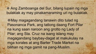  Ang Zamboanga del Sur, bilang lupain ng mga
bulaklak ay may pinakamaraming uri ng bulaklak.
May magagandang tanawin dito tulad ng
Pasonanca Park, ang tatlong daang Fort Pilar
na kung saan naroon ang grotto ng Lady of
Pilar; ang Sta. Cruz na isang islang may
magagandang baybay-dagat at makukulay na
mga korales at ang Barter Trade Market na
bilihan ng mga gamit na pang-Muslim.
 