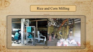 Rice and Corn Milling
 