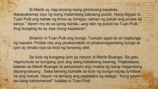 Si Manik ay nag-anyong isang ginintuang bayabas.
Napasakamay siya ng isang matandang babaeng pulubi. Nang bigyan ni
Tuan Putli ang babae ng limos ay ibinigay naman ng pulubi ang prutas sa
kanya.” Itanim mo ito sa iyong hardin.” ang bilin ng pulubi ka Tuan Putli. “
Ang bungang ito ay siya mong kapalaran”.
Itinamin ni Tuan Putli ang bunga. Tumubo agad ito at nagbunga
ng marami. Pinitas nito ang pinakamalaki at pinakamagandang bunga at
iyon ay dinala niya sa loob ng kanyang silid.
Sa loob ng bungang iyon ay naroon si Manik Buangsi. Sa gabi,
nagmumula sa bungang iyon ang isang kakaibang liwanag. Pagkatapos,
lalabas sa Manik Buangsi at panonoorin ang mukha ng isang magandang
dayang-dayang . Saka lamang bumalik sa loob ng bunga kapag tumilaok
na ang manok. Gayon na lamang ang pagtataka ng dalaga “ Kung gayon,
isa kang katotohanan!” bulalas ni Tuan Putli.
 
