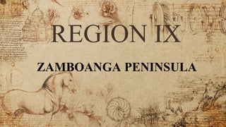 REGION IX
ZAMBOANGA PENINSULA
 