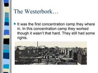 The Westerbork… It was the first concentration camp they where in. In this concentration camp they worked though it wasn’t that hard. They still had some rights. 