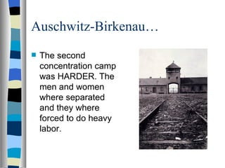Auschwitz-Birkenau… The second concentration camp was HARDER. The men and women where separated and they where forced to do heavy labor. 