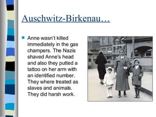 Auschwitz-Birkenau… Anne wasn’t killed immediately in the gas champers. The Nazis shaved Anne’s head and also they putted a tattoo on her arm with an identified number. They where treated as slaves and animals. They did harsh work. 
