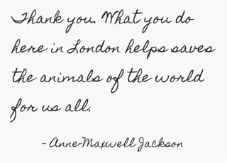 Anne maxwell jackson