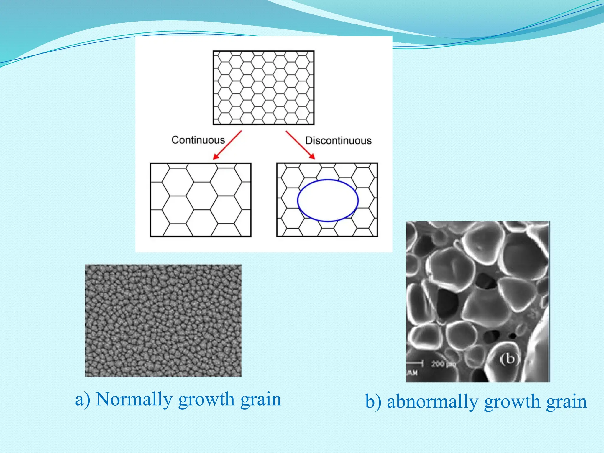 a) Normally growth grain b) abnormally growth grain
 