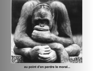au point d’en perdre le moral... 