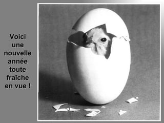 Voici une nouvelle année toute fraîche en vue ! 