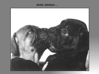 avec amour... 