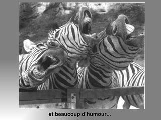 et beaucoup d’humour... 