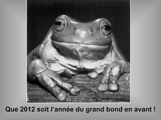 Que 2012 soit l’année du grand bond en avant ! 